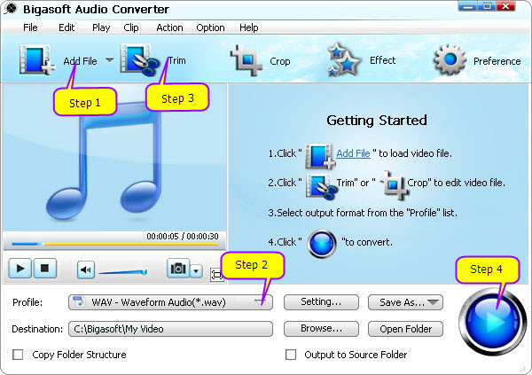 Easily Player FLAC in Windows Media Player