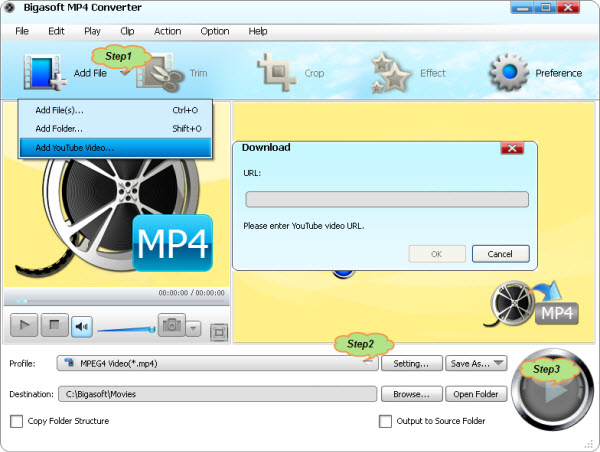 How to Download YouTube to MP4 or Convert YouTube to MP4